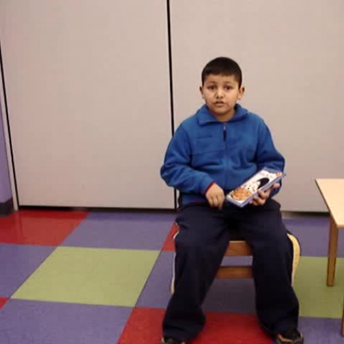 Pizza for Sam  by Mary Labatt