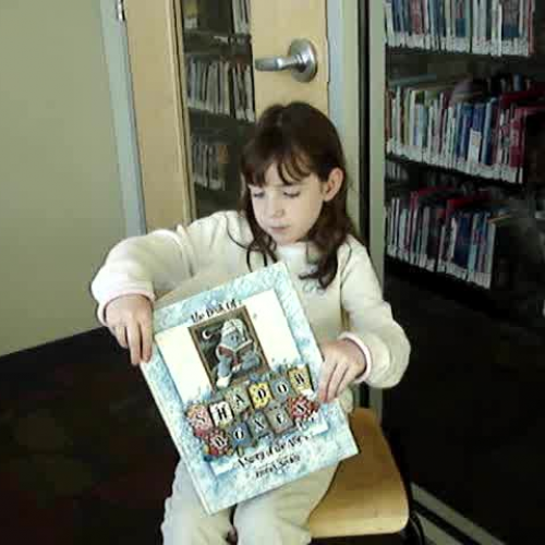 The Book of Shadowboxes 