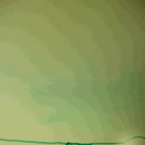 Whiteboard Animation Madness