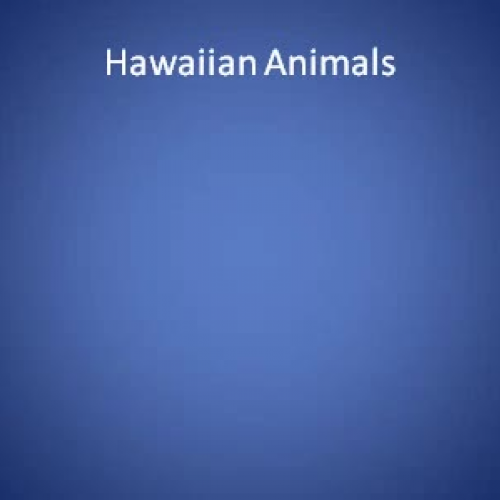 Hawaiian Animals