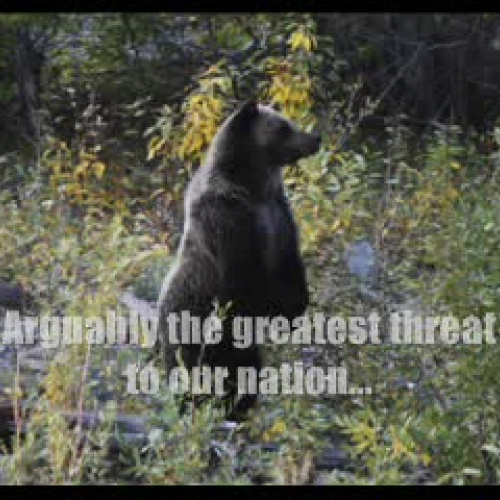 Bears-Threatdown!