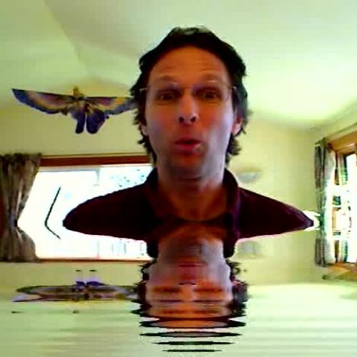 WAVA Reach out for assistance