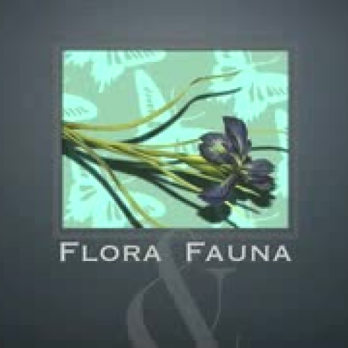 flora fauna IDEA