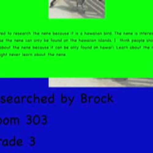 The Amazing Nene by Brock