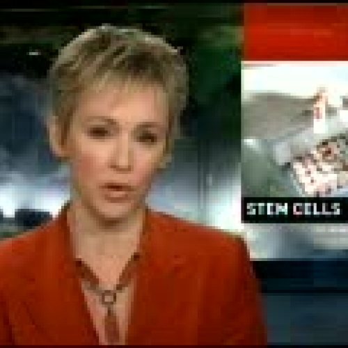 FDA approves use of embryonic stem cells