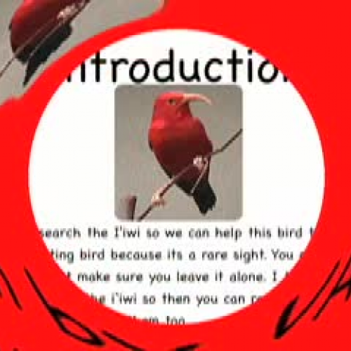 The Awesome Iiwi by Vance