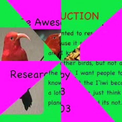 The Awesome Iiwi by Kaiulani