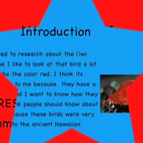 The Iiwi Bird by Joshua