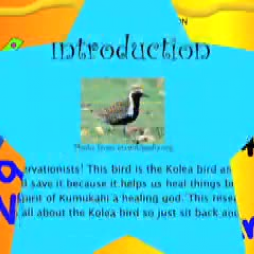 Kolea Birds by Alison