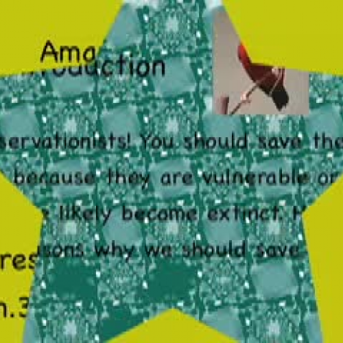 The Amazing Iiwi by Keani