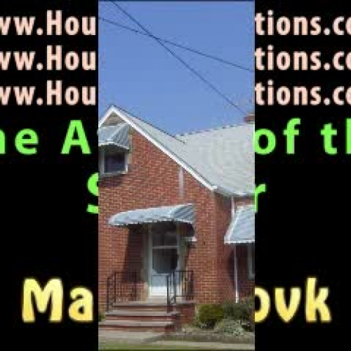 SEWER DRAIN URINAL FLIES ATTACK AND INVADE MY