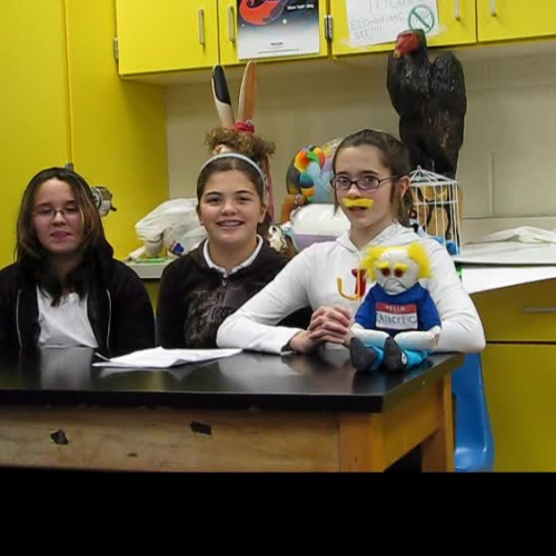 ECOmedians Koi Web Show