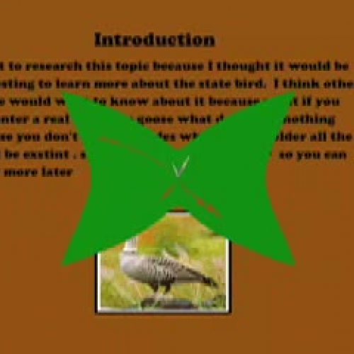 The Amazing State Bird The Nene