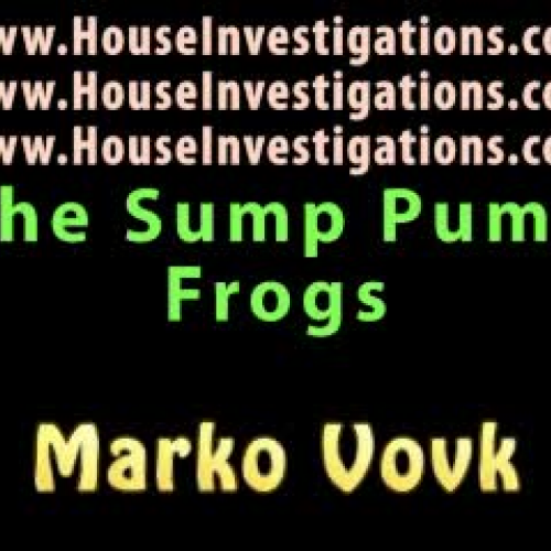 Frogs Attack My Home