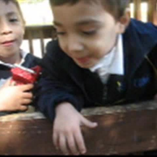 Recess Socialization