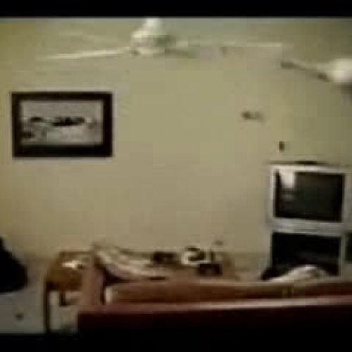 Cat fan with green screen