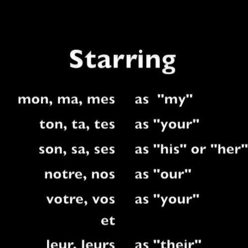 Les adjectifs possessifs