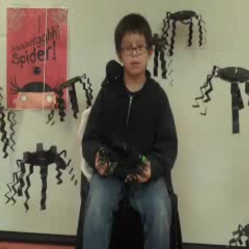 Aaaarrgghh! Spider! Refelctions