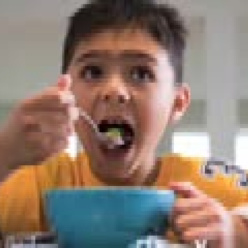 IPT Sam and the Elephant