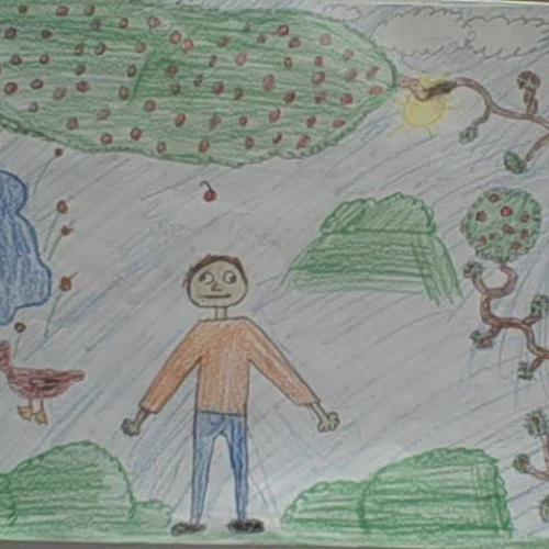 A Collection of Limericks