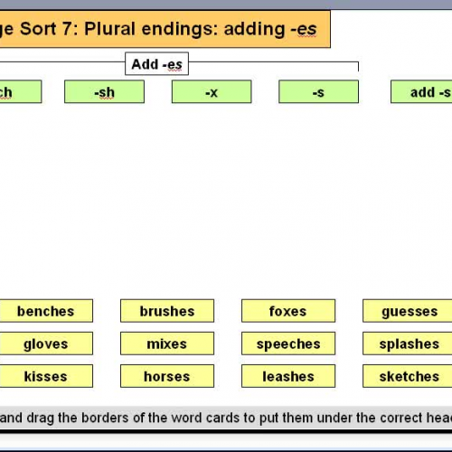 Orange Sort 7 Plural Endings - Adding -es