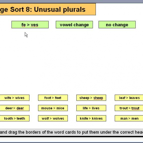 Orange Sort 8 Unusual Plurals