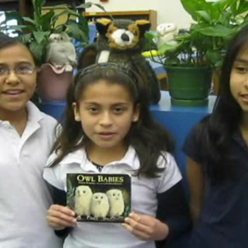 StoryTubes Owl Babies by Martin Waddell