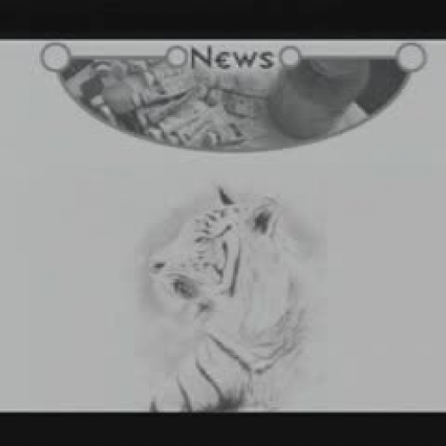 Tiger Eye News 2-17-09