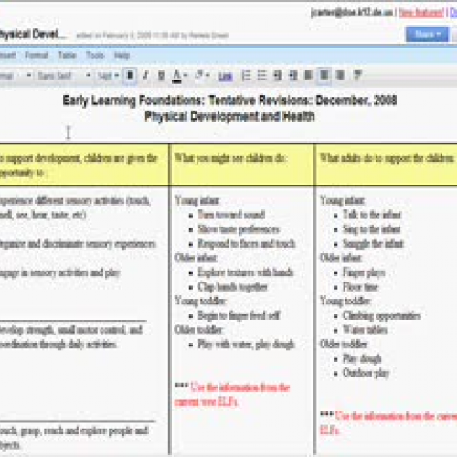 infant toddler standards