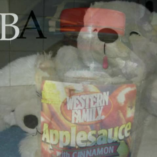 ABCs by Lauren and Debra