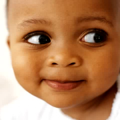 The Life Cycle of a Butterfly