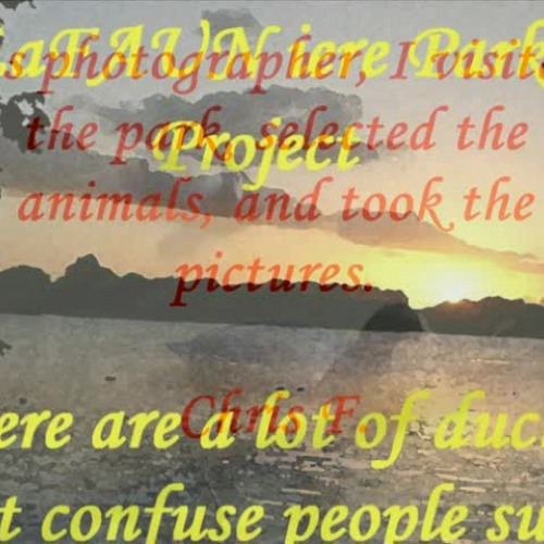 The La Faun iere Animal Identification Projec