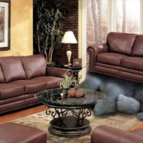 Digital Storytelling-- My Elephant is Missing