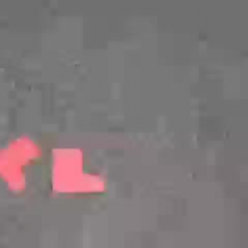 Digital Storytelling Project