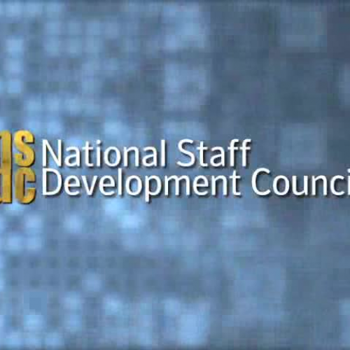NSDCs Definition for Professional Development
