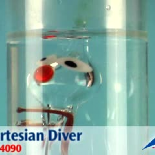U14090 Cartesian Diver