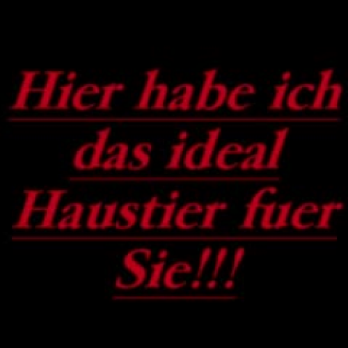 Das Ideale Haustier