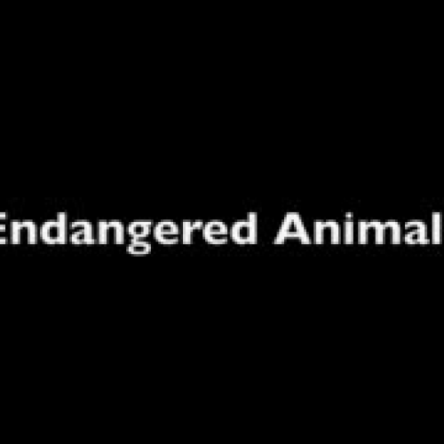Endangered Species booktalk