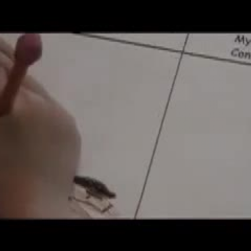 BPII - Mental Images Lessson Part 4 of 20