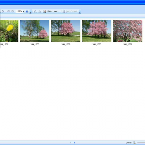 Resize Images Using MS Office Picture Manager