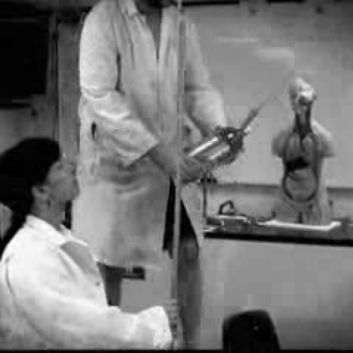 Egg Pendulum of Destruction