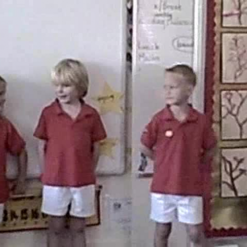 The Three Little Pigs