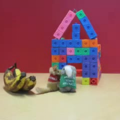 Advertisement for the 2nd Annual Walk For Pea