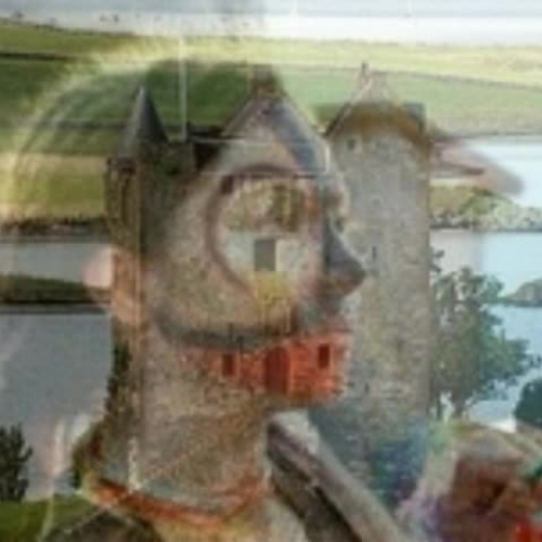 Summary of The Lady of Shalott