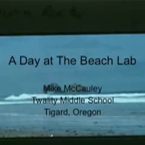 Day At The Beach Lab