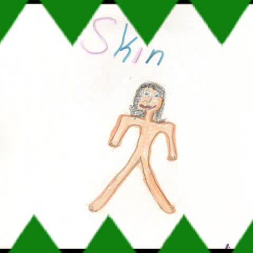 More Fun Fact About the Human Body