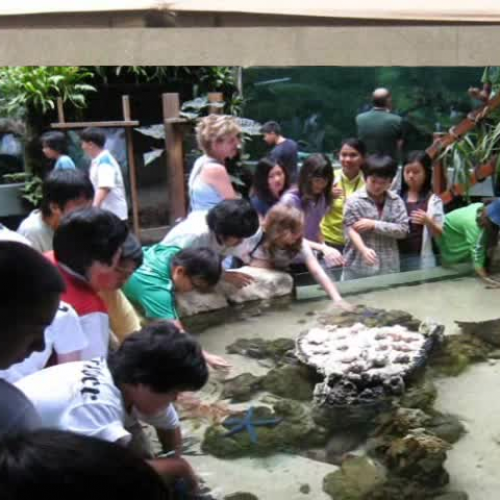 Classtoom Without Walls-ISM 2009