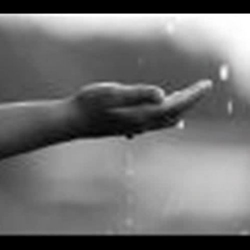 Fenomene ale naturii