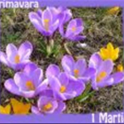 primavara