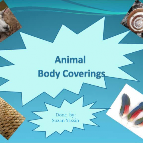 Animal Body Coverings, Biology